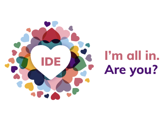 IDE logo